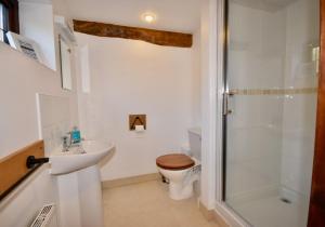 a bathroom with a toilet and a sink and a shower at The Cote is a stunning rural barn beach 3 miles in Ryde
