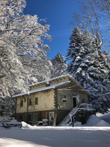 una casa está cubierta de nieve con árboles en CASA DELLE GUARDIE b&b, en Madonna di Fornelli