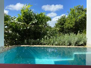 a pool of water with a blue sky at Escape at Nonsuch Bay Antigua - All Inclusive - Adults Only in Gaynors