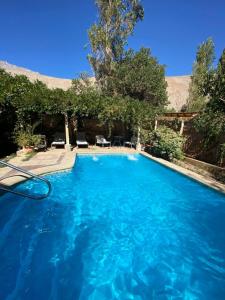a large swimming pool with blue water at Pisco Elqui HolidayHome in Pisco Elqui