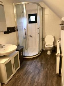 a bathroom with a shower and a toilet and a sink at Happy Chalet in Černý Dŭl