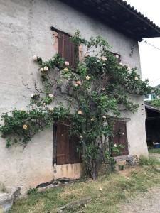 une maison dont les roses poussent sur son côté dans l'établissement Les Granges du Pichat, à Froges