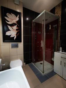 ヴィスワにあるApartament Premium Deluxのバスルーム(シャワー、白いトイレ付)