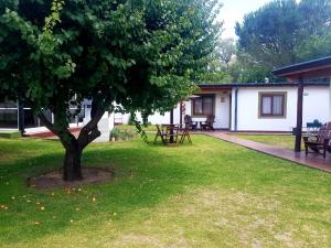 カピージャ・デル・モンテにあるCABAÑAS SAN ANTONIOの家の隣の庭の木