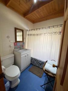ein Bad mit einem WC und einem Waschbecken in der Unterkunft Pisco Elqui HolidayHome in Pisco Elqui
