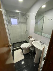 a bathroom with a toilet and a sink at Hostal America en Puerto Natales in Puerto Natales