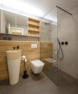 W łazience znajduje się toaleta i przeszklony prysznic. w obiekcie Cáceres Deluxe w mieście Cáceres