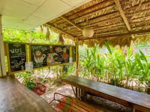 Taman di luar Playa 506 Beachfront Hostel