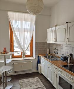 Kuhinja oz. manjša kuhinja v nastanitvi City Apartment Leipzig