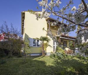 una casa con un árbol delante de ella en Apartment Pavlovic, en Rovinj