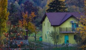 a small yellow house with a purple roof at Pensiunea HAPPY in Schitu-Topolniţei