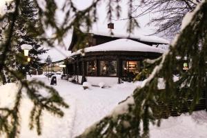 Gasthof Restaurant Waldcafé v zimě