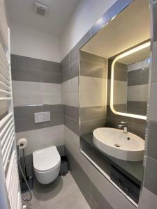 a bathroom with a sink and a toilet and a mirror at Azalea Appartamenti in Cannobio +38 photos