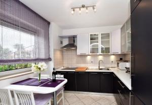 Kuchyň nebo kuchyňský kout v ubytování Apartments Lavizatic