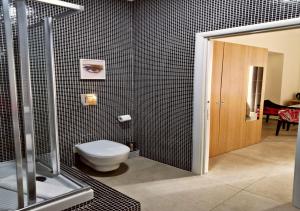 a bathroom with a toilet and a shower stall at Artistic Charming House in Caserta