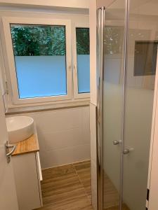 ein Bad mit einem Waschbecken und einer Dusche in der Unterkunft Gehobenes Apartment in ruhiger Wohngegend Münchens in München