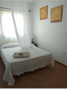 El Rincón de Bolonia tesisinde bir odada yatak veya yataklar