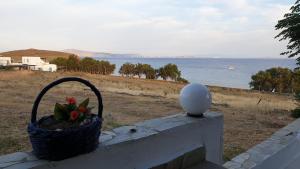 a basket on a wall with a egg and a plant at Galazio Kyma in Agios Ioannis