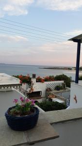 a view of the ocean from a balcony with flowers at Galazio Kyma in Agios Ioannis