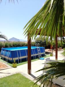 a swimming pool in a yard with a palm tree at Il Corallo in San Vito lo Capo