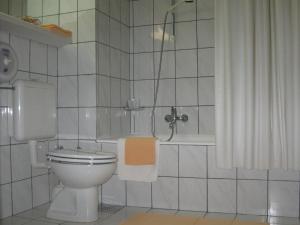 Ein Badezimmer in der Unterkunft Hotel Alp
