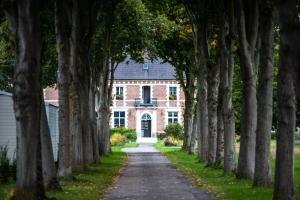 an avenue of trees in front of a brick house at Domaine De Sery in Bouttencourt