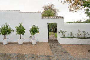A garden outside Finca El Azahar