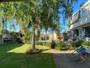 a tree in a yard next to a building at Warrina Motor Inn Wodonga CBD in Wodonga