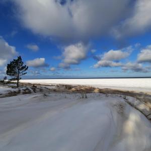 Gallery image of PIZĀ Guest House & Campsite in Miķeļtornis +43 photos