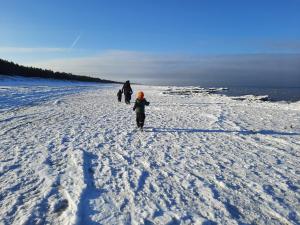 Gallery image of PIZĀ Guest House & Campsite in Miķeļtornis