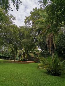 un parque con césped verde, árboles y un banco en Karee Laagte, en Leeuwfontein