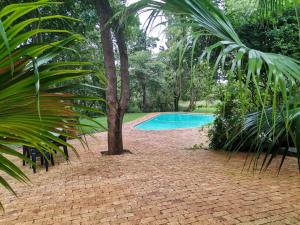 a swimming pool in a garden with a palm tree at Karee Laagte in Leeuwfontein