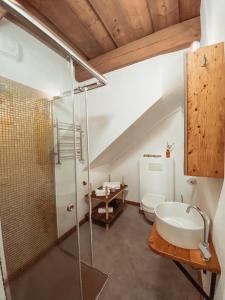 ein Bad mit einer Dusche, einem WC und einem Waschbecken in der Unterkunft Villa Gaida in Saulkrasti