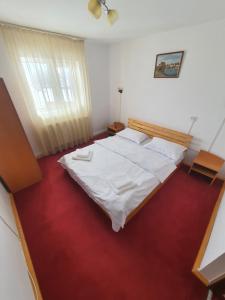 ポイアナ・ネグリイにあるCasa Ediの赤いカーペットフロアのベッドルーム1室(大型ベッド1台付)