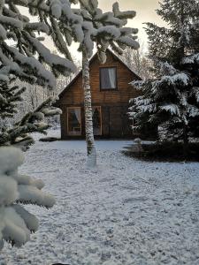 a log cabin in the snow with a tree at Brīvdienu māja "Raudiņi" in Kaltene