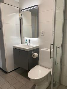La salle de bains est pourvue de toilettes, d'un lavabo et d'un miroir. dans l'établissement Varijlyan höger, à Sälen