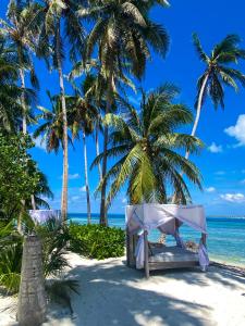 a tent on the beach with palm trees at Samura Maldives Guest House Thulusdhoo in Thulusdhoo