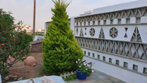 a christmas tree in a yard next to a building at Galazio Kyma in Agios Ioannis
