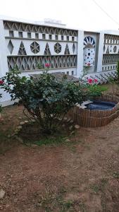 a small tree in front of a building at Galazio Kyma in Agios Ioannis