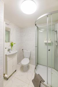 a bathroom with a toilet and a shower and a sink at Crystal Downtown Apartments in Budapest