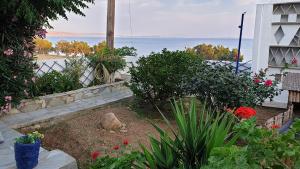 a garden with flowers and a view of the water at Galazio Kyma in Agios Ioannis