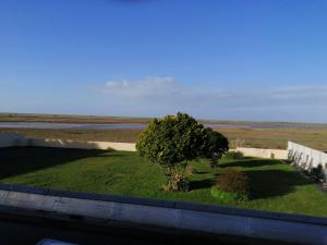 a tree sitting on top of a green field at LE BELLEVUE 47 gîte touristique 3 étoiles in Bricqueville-sur-Mer +2 photos