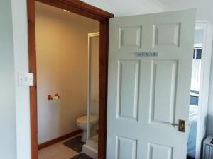 a bathroom with a toilet and a door at Rockville Amlwch LL68 0TE, UK Apartment in Llanfflewyn