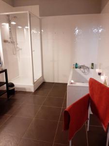 a bathroom with a shower and a sink at N¨°1 SCHONGAUER GITE DE CHARME CENTRE TOURISTIQUE COLMAR in Colmar +28 photos