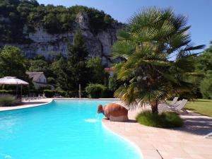 a cow standing in a swimming pool next to a palm tree at Domaine de Lacave in Lacave
