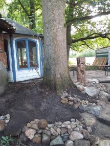 a tree and rocks in front of a house at Bequemschlafen in Heidenau