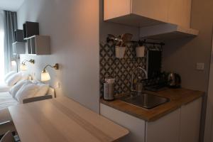 a kitchen with a sink and a counter top at S&L3 REPUBLIC ZAGREB CENTER in Zagreb