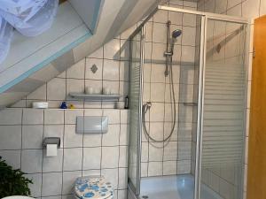 a bathroom with a shower and a toilet in it at Schlafen in Erfurt- nicht 0815 in Erfurt