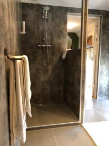 a bathroom with a shower with a glass door at Herberg Oud Holset in Lemiers