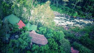 
a small garden with trees and shrubbery at Eco Quechua Lodge in Santa Teresa
